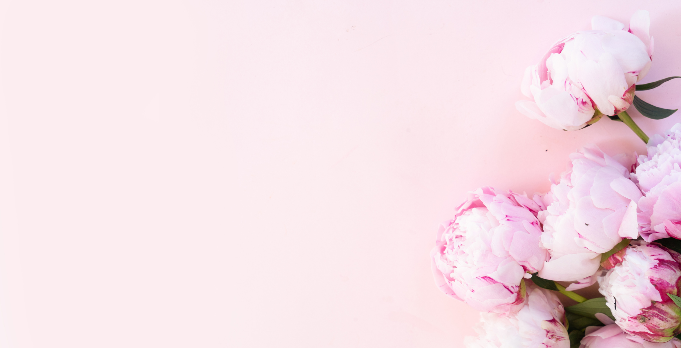 Fresh Pink Peony Flowers Flatlay